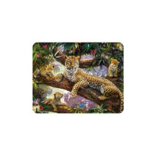 Obrázek z Magnet 3D 7x9cm - leopardi na stromě (25) 